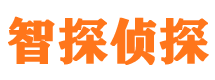 凌海外遇出轨调查取证